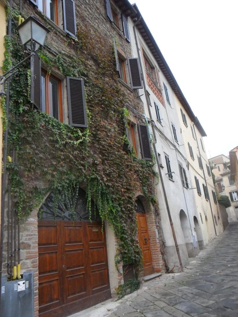 C.A.V. Tre Girasoli